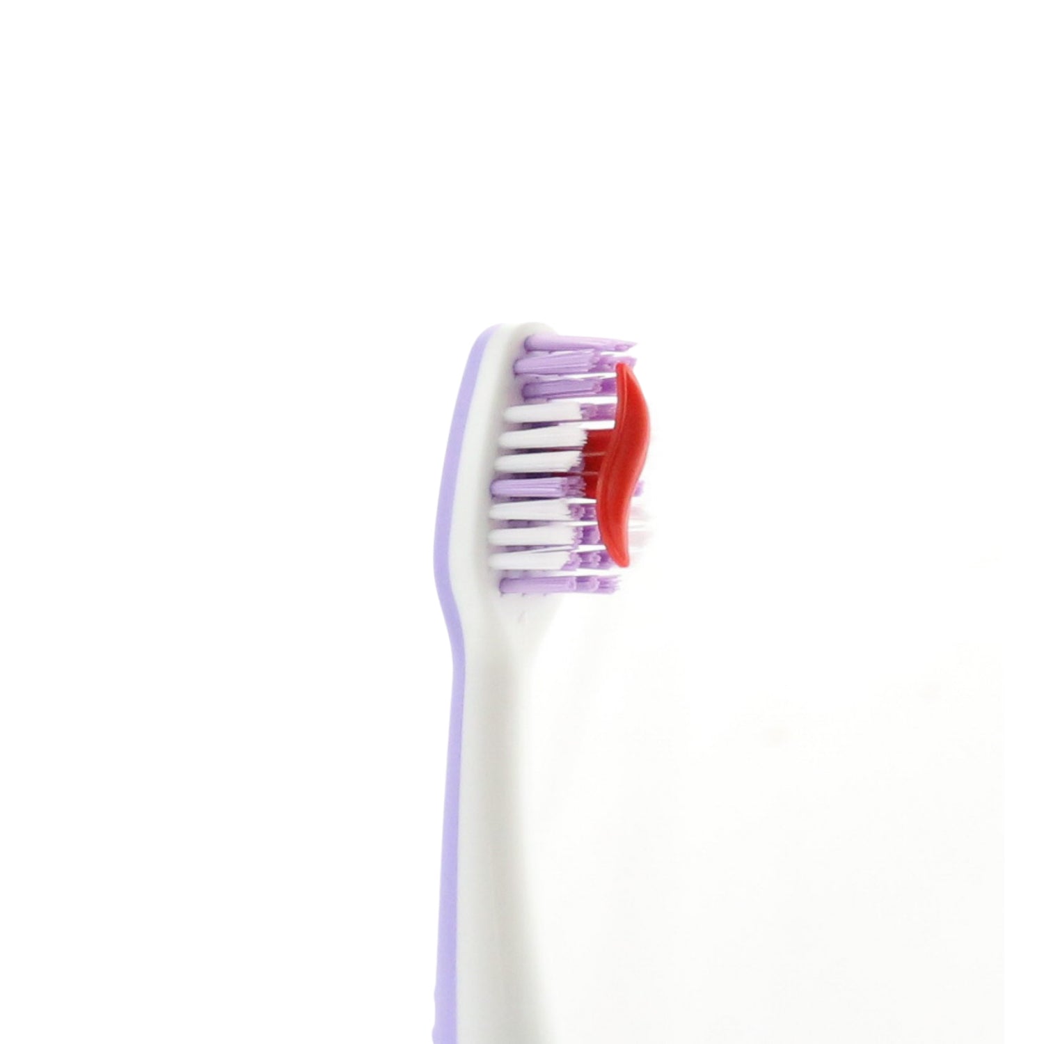 PUSH BRUSH | Purple 