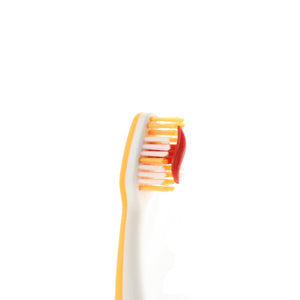 PUSH BRUSH | Orange